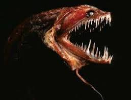 Deep sea dragonfish glowing in dark ocean with bioluminescent light