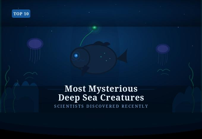 Illustration of deep sea creatures swimming in a dark ocean environment with glowing elements and marine life details.