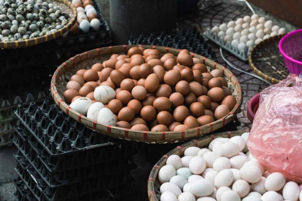 Eggs for Brain Health: Memory, Focus & Nutrition Benefits