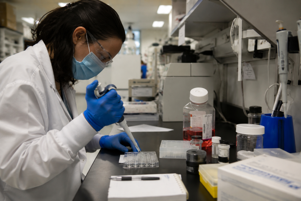 How Vaccines Are Made: A Beginner's Guide